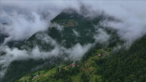 Trabzon'un "Hıdırnebi Yaylası" sis altındaki güzelliğiyle ziyaretçilerini karşılıyor
