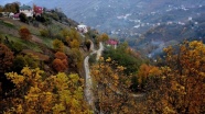 Trabzon yaylalarında sonbahardan kalan renkler görsel şölen sunuyor