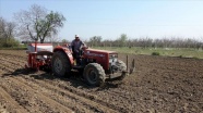 Trakya çiftçisi koronavirüse rağmen ürün ekim ve hasatlarını yapıyor