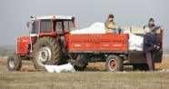 Trakya çiftçisi ‘Nitratlı gübre yasağına’ tepkili