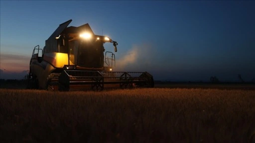 Trakya'da aşırı sıcak nedeniyle buğday hasadı gece yapılıyor