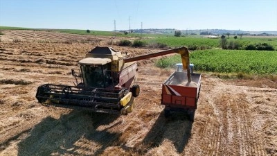 Trakya'da buğday hasadı mesaisi s&uuml;r&uuml;yor
