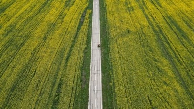 Trakya'da yağışlar tarımsal verim beklentisini artırdı