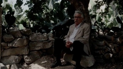 TRT ortak yapımı "Kesilmiş Bir Ağa&ccedil; Gibi" T&uuml;rkiye'nin Oscar adayı oldu