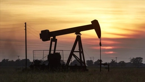 Trump yönetimi, Alaska'daki rezervde yaban hayatını koruyan sondaj sınırlamalarını kaldırdı