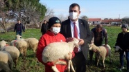 TÜDKİYEB, sosyal medyada ünlenen küçük çoban Şevki&#039;yi ödüllendirdi