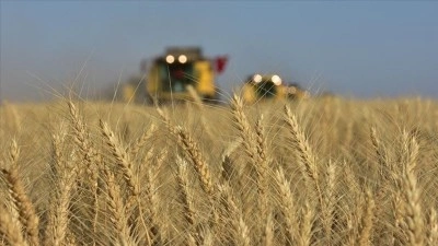 T&Uuml;İK 2024-2025 d&ouml;nemi bitkisel &uuml;r&uuml;n denge tablolarını a&ccedil;ıkladı