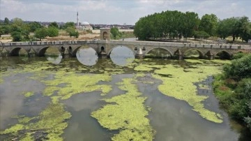 Tunca Nehri'ne atılan çöpler kirliliğe neden oldu