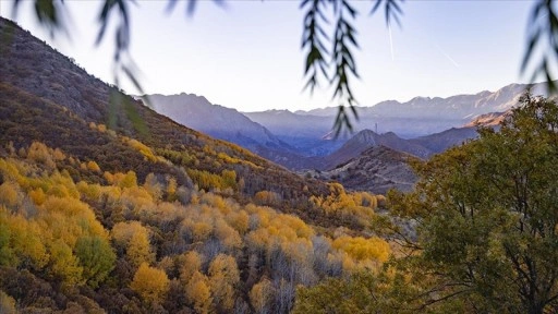 Tunceli'nin Salördek ormanları sonbaharda doğayla buluşmak isteyenleri ağırlıyor