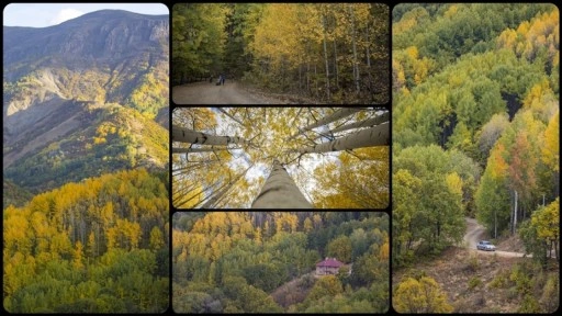 Tunceli'nin zirvelerindeki ormanlar güz renklerine büründü