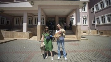 Tunceli'de hayvansever iki kadın can dostlarıyla sandık başına gitti