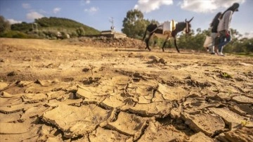 Tunus devam eden kuraklık nedeniyle içme suyu krizine gebe