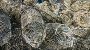 Tunuslu balıkçılar denize zarar veren avlanma yöntemlerine tepkili