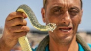 Tunuslu yılan avcısı severek yaptığı işiyle geçimini sağlıyor