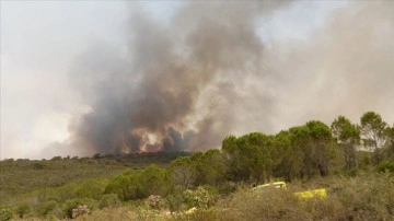 Tunus’un çeşitli bölgelerinde 48 saatte 16 orman yangını çıktı