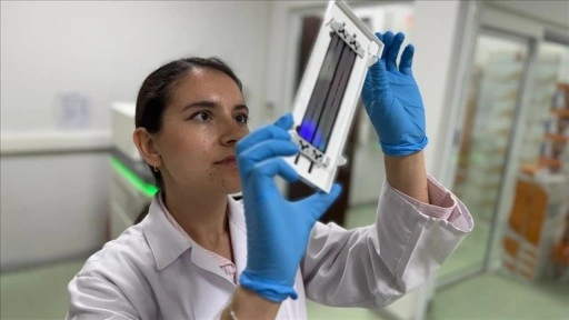 Türk bilim insanları akciğer kanserinde radyoterapiye cevapı belirleyen 12 gen tespit etti