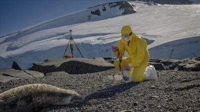 T&uuml;rk bilim insanları Antarktika'daki araştırmalarıyla sağlık ve tarıma ışık tutuyor