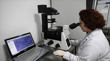 Türk bilim insanları kanserde kişiye özgü tedavi sağlayacak görüntüleme tekniği geliştirdi