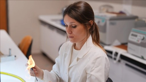 T&uuml;rk bilim insanları kıyı korozyonu risklerini yapay zekayla belirleyecek