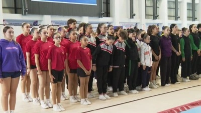T&uuml;rk cimnastiği Ankara'daki yeni tesisine kavuştu