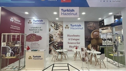 Türk fındığı Güney Amerika'da tanıtıldı