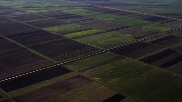Türk firmaları KOSGEB'in desteğiyle Sudan'da tarımsal potansiyeli güçlendirecek