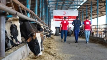 Türk Kızılay, Türkiye ve 21 ülkede kurban eti dağıtmaya başladı