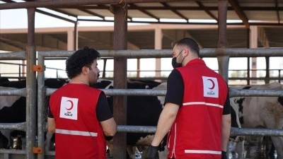 T&uuml;rk Kızılayın kurban bağışı kampanyası tatil g&uuml;nlerinde de s&uuml;r&uuml;yor