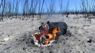 Türk ormancıları Avustralya'daki yangınların söndürülmesine katkı sağlamak istiyor