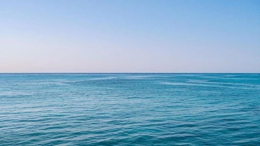 Türk yüzücüler Pasifik Okyanusu'nda köpek balığı saldırısına uğradı