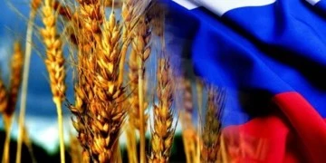 Türkiye 3. sırada!.. Rusya, rekor düzeyde (7,7 milyon ton) tahıl sattı