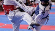 Türkiye, Avrupa Gençler Tekvando Şampiyonası'nda 8 madalya kazandı