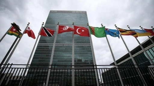 Türkiye, BM Ekonomik ve Sosyal Konseyi üyeliğine seçildi