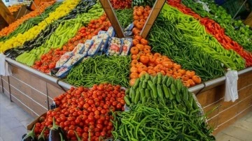 Türkiye bu yılın ilk yarısında 1,69 milyar dolarlık yaş meyve sebze ihraç etti