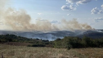 Türkiye-Bulgaristan sınırında çıkan orman yangını nedeniyle Edirne'de önlem alındı