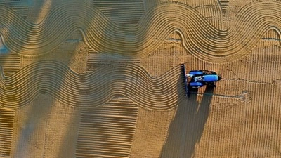 T&uuml;rkiye'de 2026 sezonunun hububat &uuml;retimi a&ccedil;ısından g&uuml;&ccedil;l&uuml; bir yıl olması bekleniyor