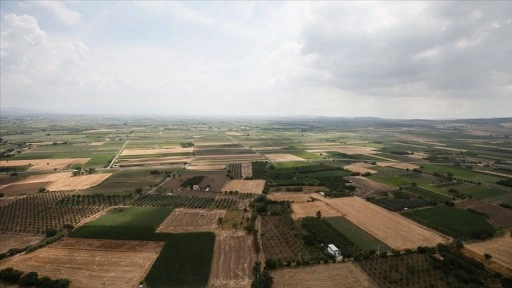 Türkiye'de erozyonla her 16 yılda 1 santimetre toprak kaybediliyor