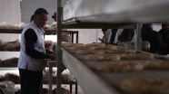 Türkiye'den Cerablus'a ekmek fırını
