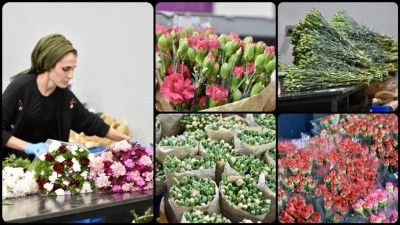 T&uuml;rkiye'den D&uuml;nya Kadınlar G&uuml;n&uuml; i&ccedil;in 35 &uuml;lkeye 80 milyon dal &ccedil;i&ccedil;ek