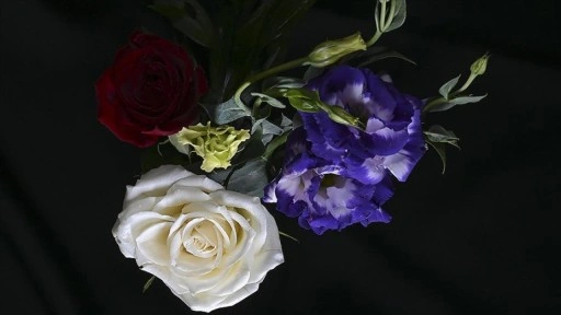 T&uuml;rkiye'den yılbaşı i&ccedil;in 12 milyon dolarlık &ccedil;i&ccedil;ek ihracatı