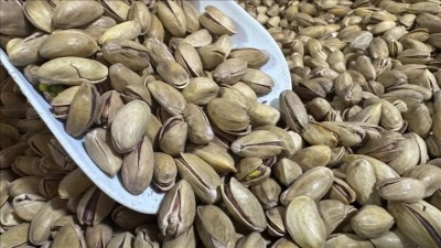 T&uuml;rkiye'den yılın ilk &ccedil;eyreğinde 32,8 milyon dolarlık fıstık ihracatı