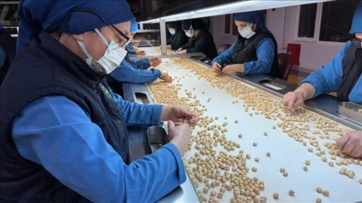 Türkiye, fındık ihracatından 8 ayda 1,9 milyar doları aşkın gelir sağladı