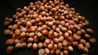 T&uuml;rkiye, fındık ihracatından iki ayda 388 milyon doları aşkın gelir sağladı