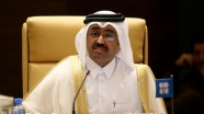'Türkiye isterse Katar LNG göndermeye hazır'