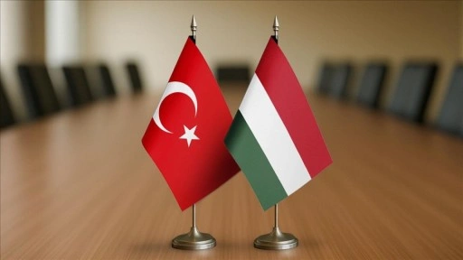 Türkiye-Macaristan Ortak İstişare Mekanizması'nın Birinci Toplantısı yarın İstanbul'da yap