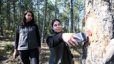 "T&uuml;rkiye'nin akciğerleri" kadın ormancılara emanet