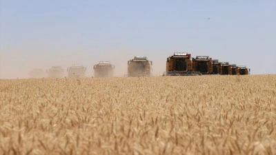T&uuml;rkiye'nin "dev işletmesi"nde 238 bi&ccedil;erd&ouml;verle hasat, 45 mibzerle ekim yapılıyor