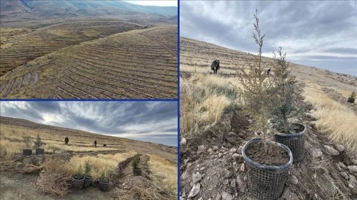 T&uuml;rkiye'nin en kirli havasına sahip Iğdır'da bol oksijen i&ccedil;in ağa&ccedil;landırma hamlesi
