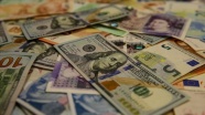 Türkiye'nin Mart itibarıyla dış borç stoku açıklandı