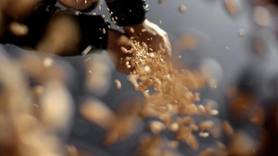 T&uuml;rkiye'nin sertifikalı tohum &uuml;retimi son 10 yılda y&uuml;zde 50,7 arttı